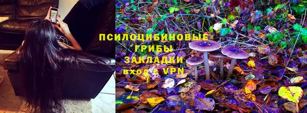 дживик Корсаков