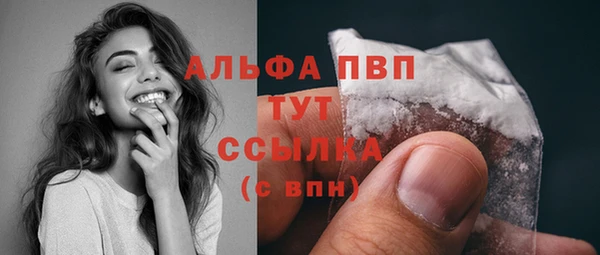 дживик Корсаков