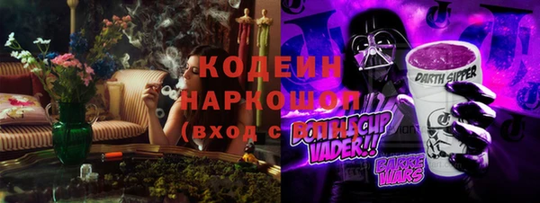 сатива Козловка