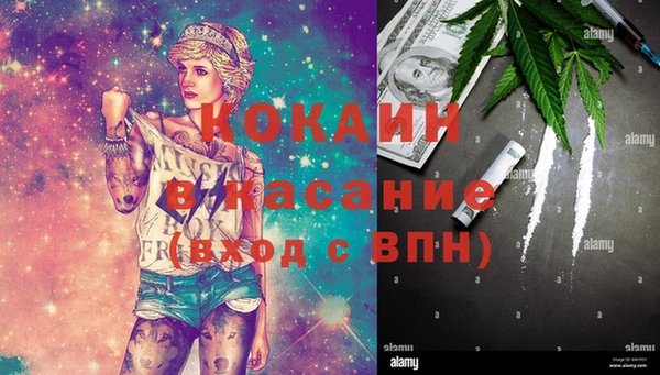ПСИЛОЦИБИНОВЫЕ ГРИБЫ Костерёво
