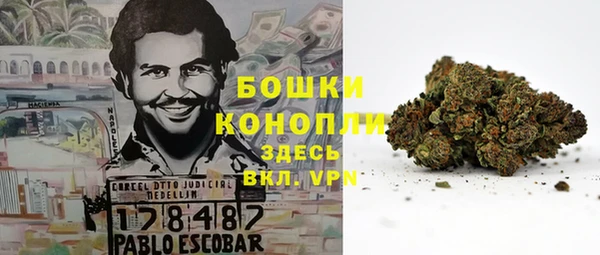 сатива Козловка