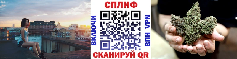 Купить  Бологое  Бошки марихуана THC 21% 